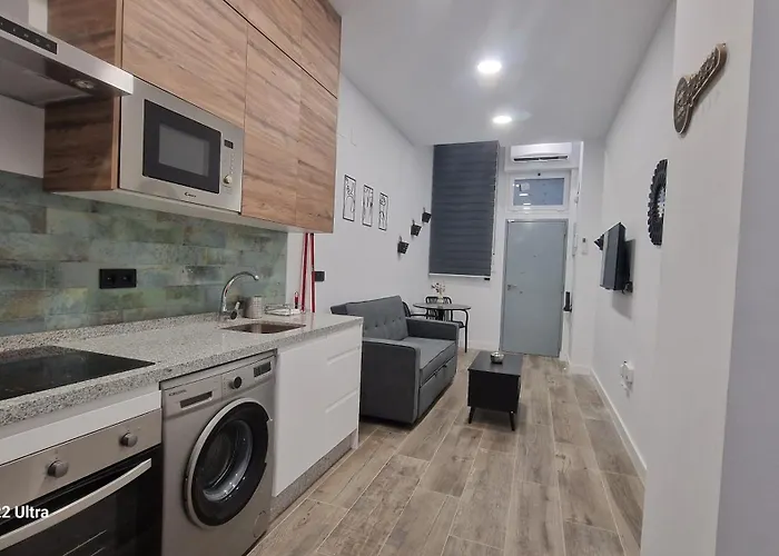 Appartement Loft De Rota *